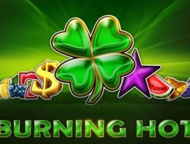 Burning Hot automat za darmo