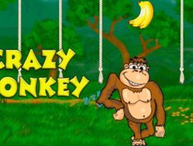 Crazy-Monkey-logo