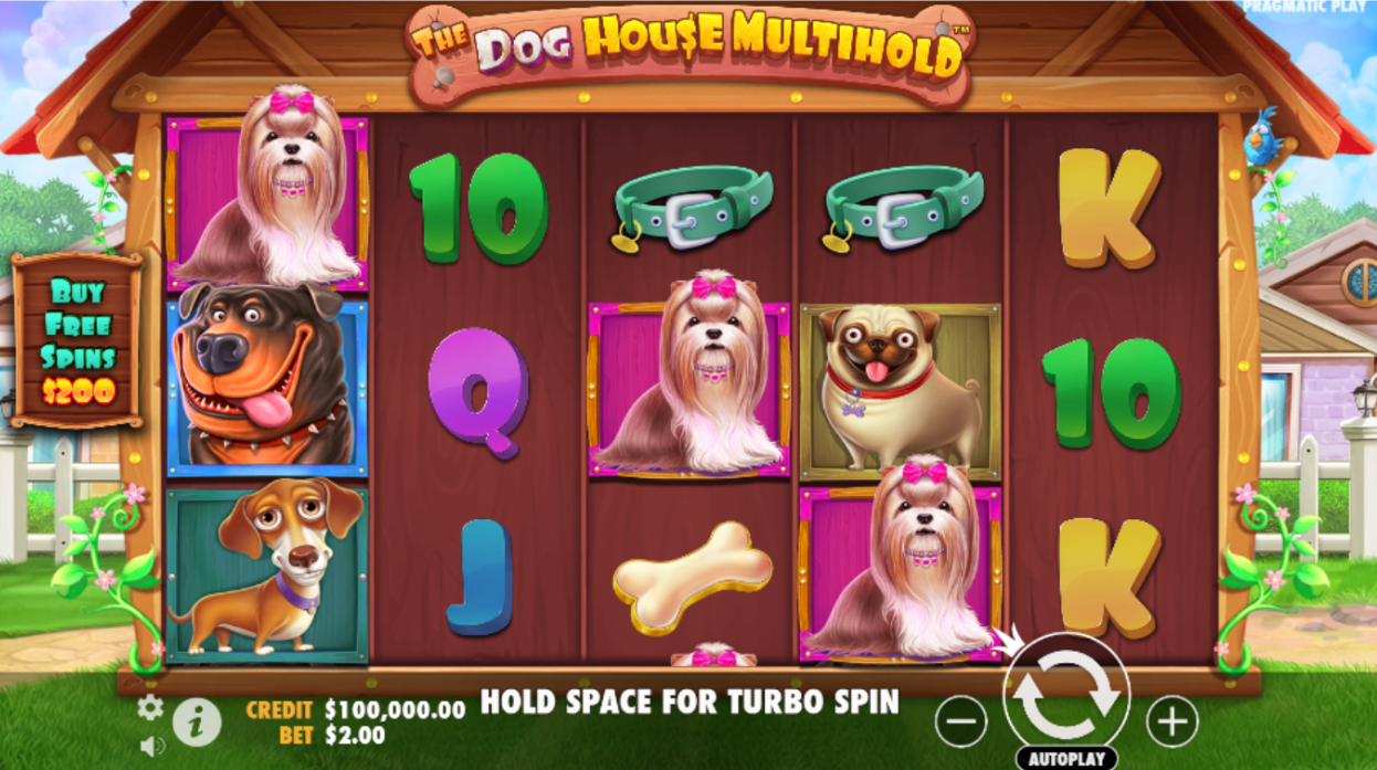 The dog house multihold slot