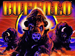 slot buffalo