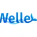 Welle