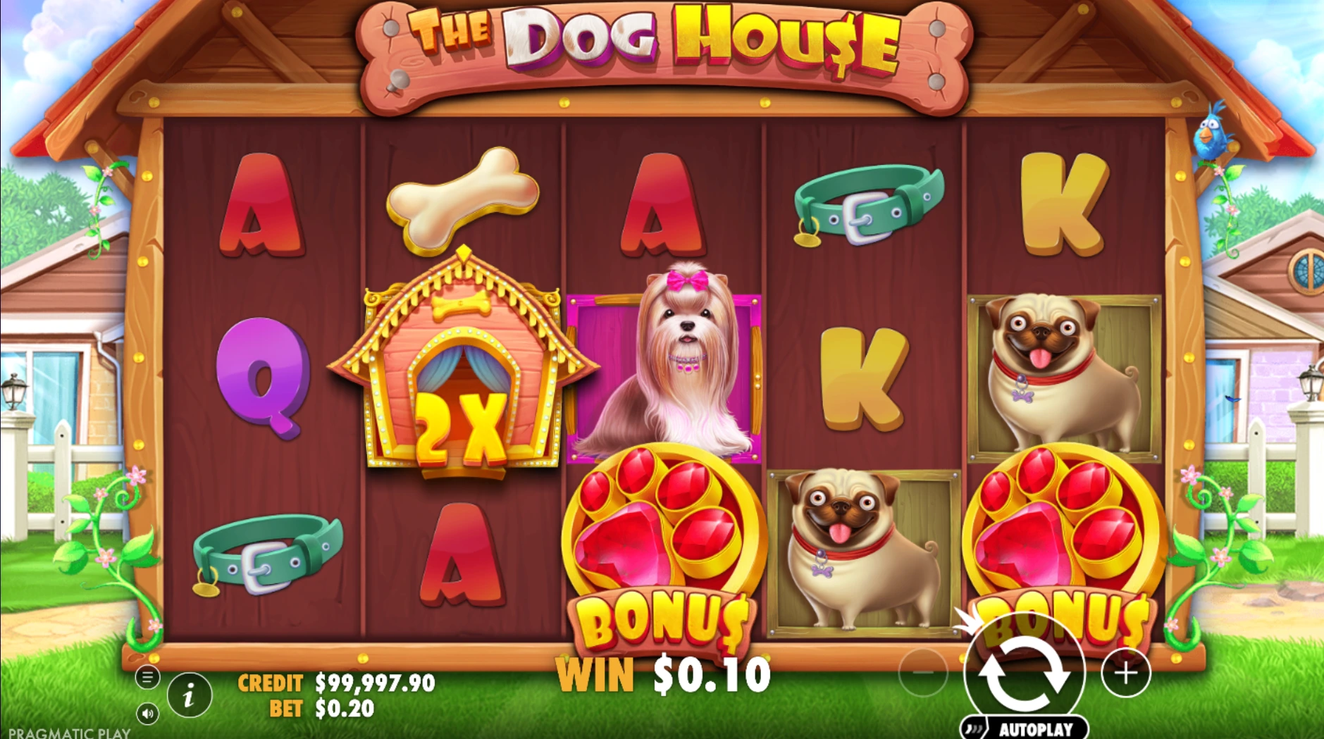 zagrac w the dog house